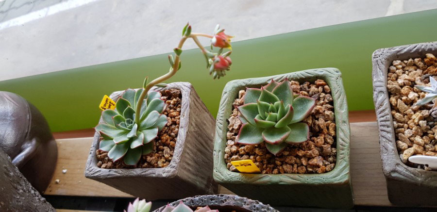 백세사랑 재가복지센터 강북구 미아동 삼양동 백세사랑 재가복지센터 방문요양 장기요양등급신청