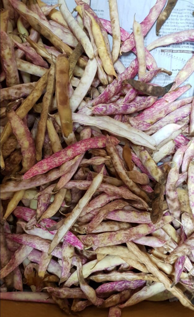 강북구 미아동 삼양동 백세사랑 재가복지센터 방문요양 장기요양등급신청