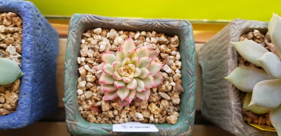 강북구 미아동 삼양동 백세사랑 재가복지센터 방문요양 장기요양등급신청